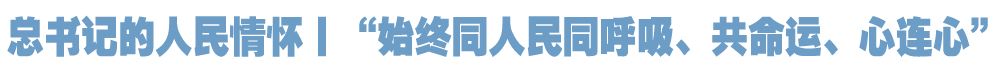院官网.jpg